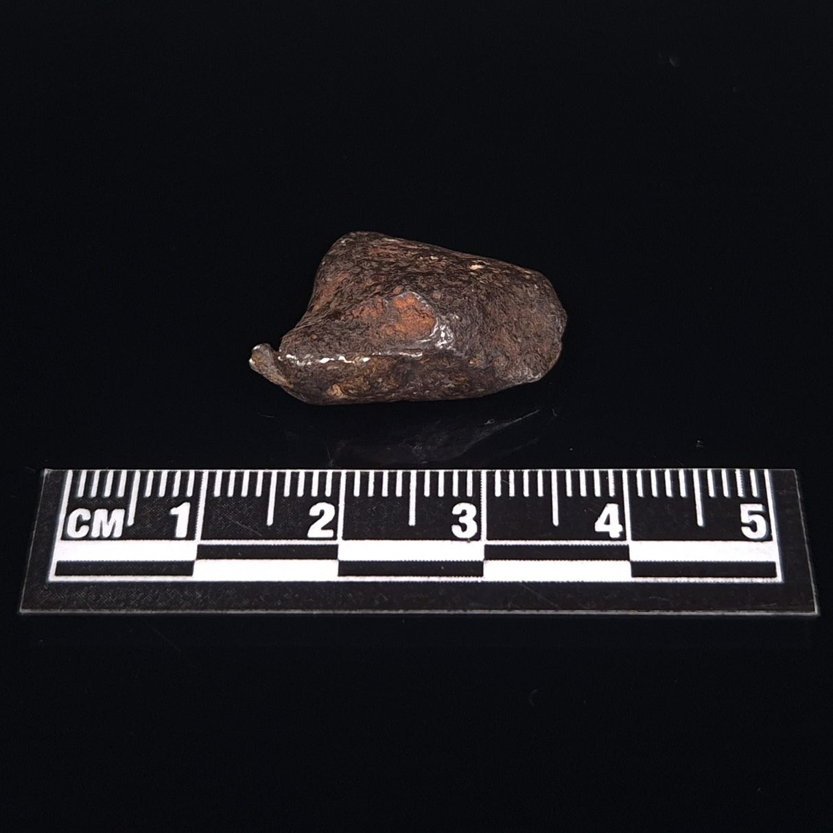 MUNDRABILLA METEORITE, Western Australia XMM017