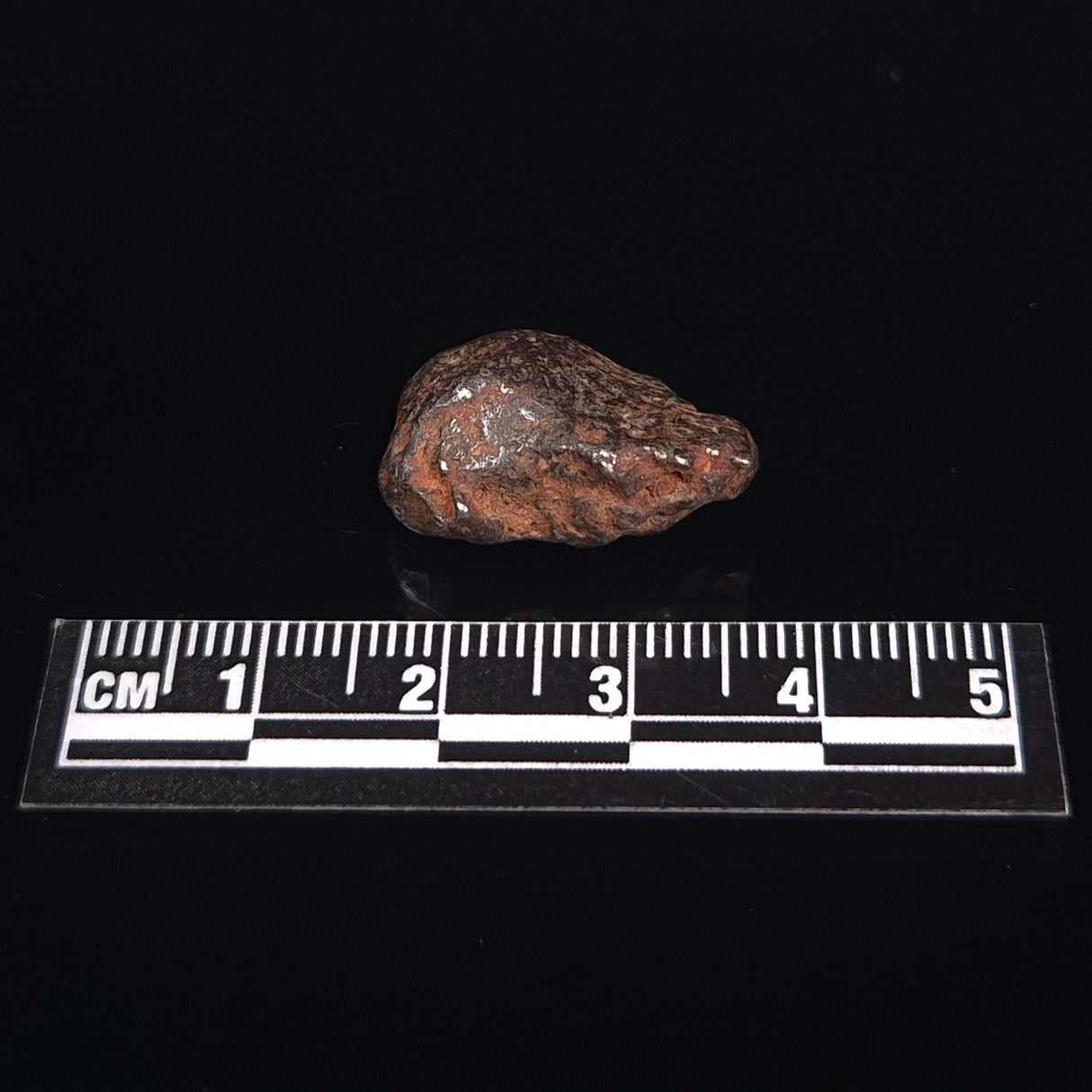MUNDRABILLA METEORITE, Western Australia XMM019