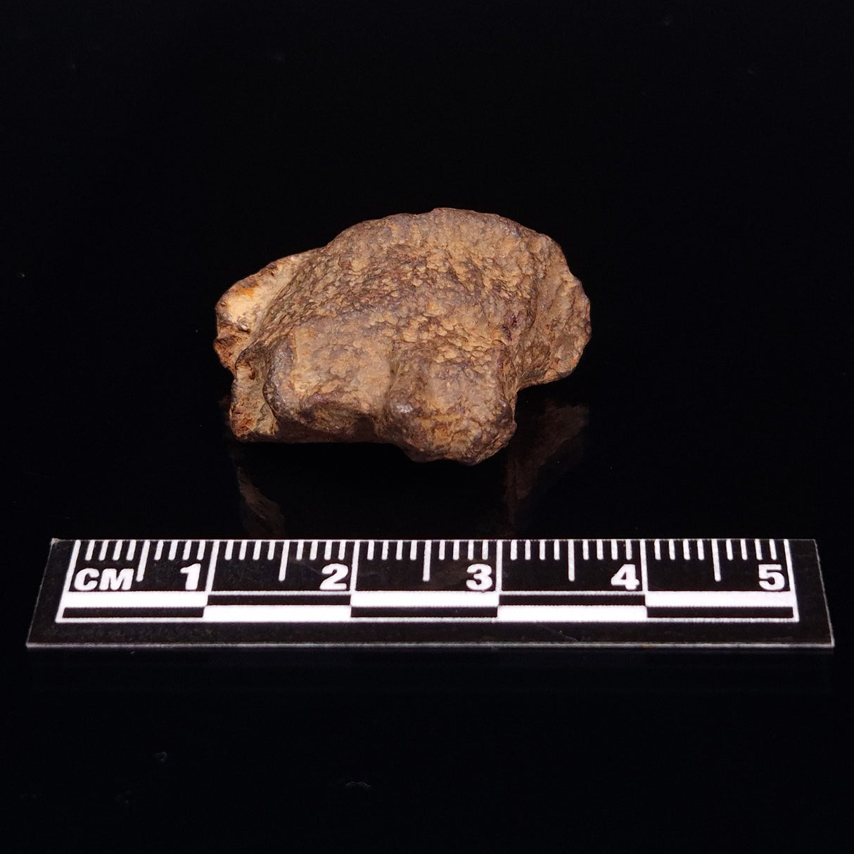 GEBEL KAMIL METEORITE, Egypt XGK004
