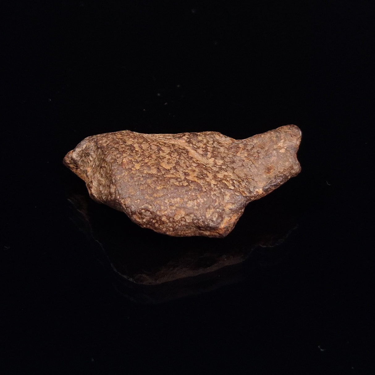 GEBEL KAMIL METEORITE, Egypt XGK005