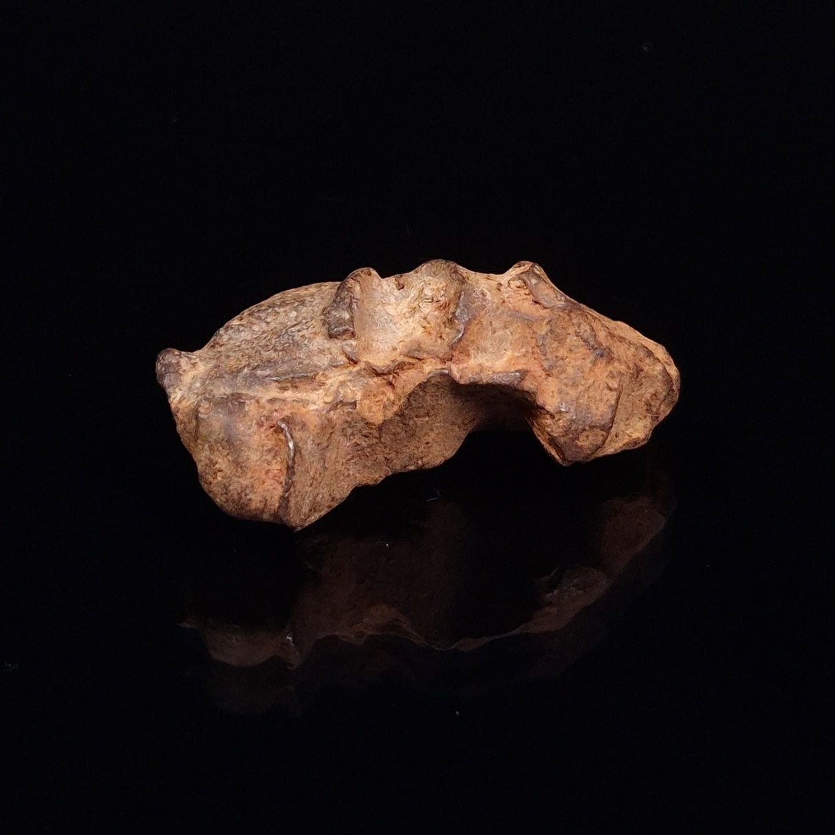 GEBEL KAMIL METEORITE, Egypt XGK006