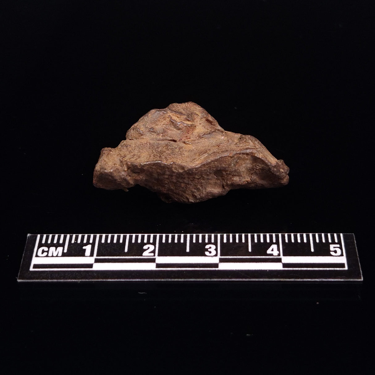 GEBEL KAMIL METEORITE, Egypt XGK010
