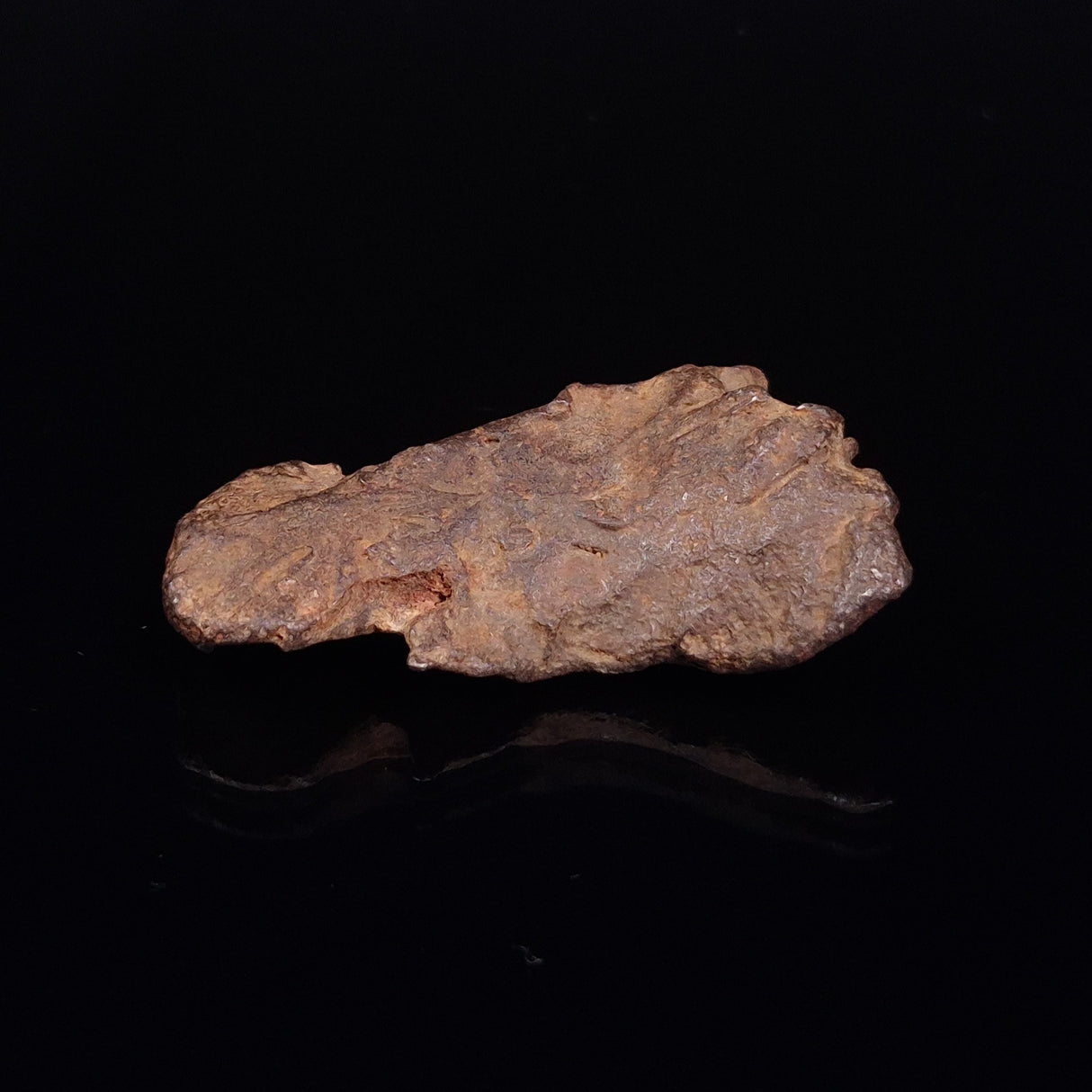 GEBEL KAMIL METEORITE, Egypt XGK012