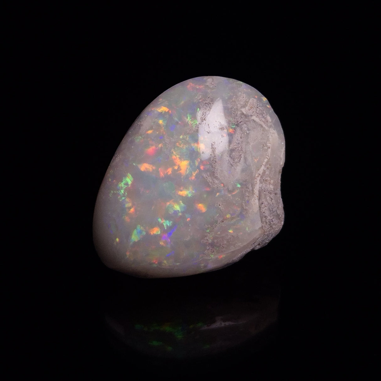 OPAL SHELL CYRENOPSIS sp. Cretaceous, Australia YOS014