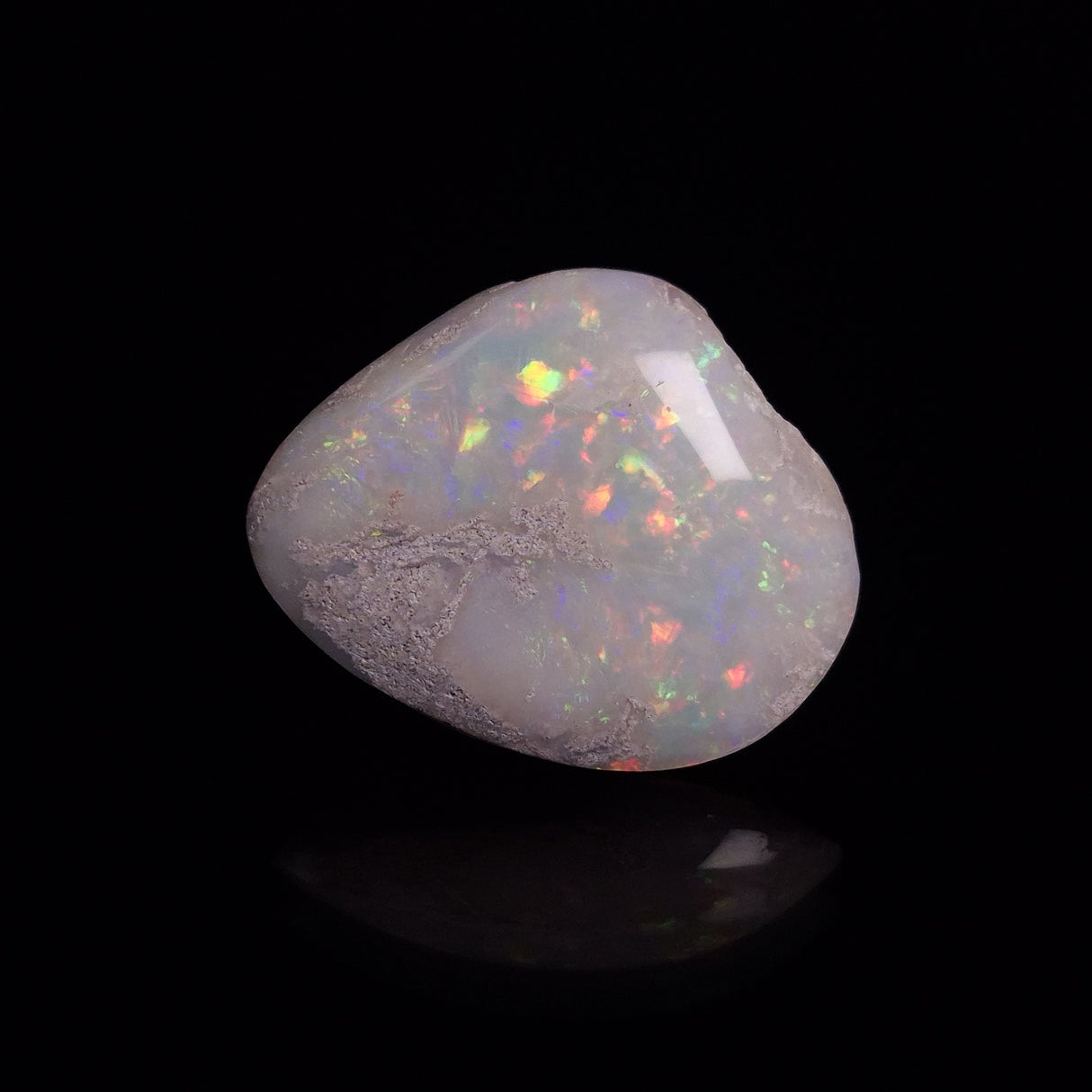 OPAL SHELL CYRENOPSIS sp. Cretaceous, Australia YOS014