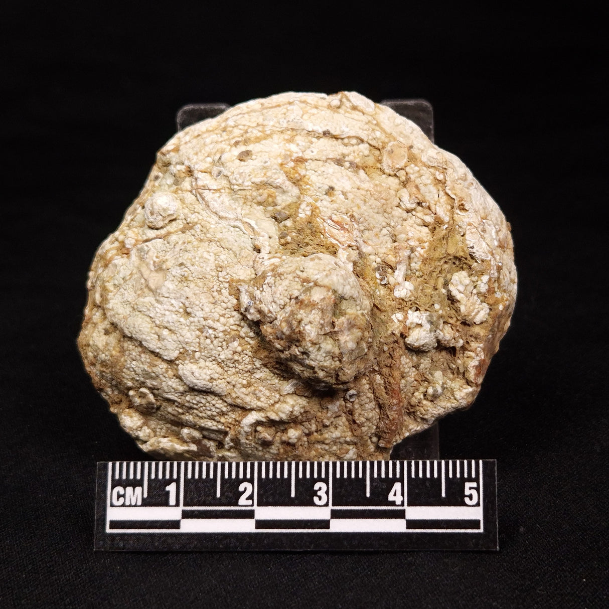 THUNDER EGG, Australia ZTE001