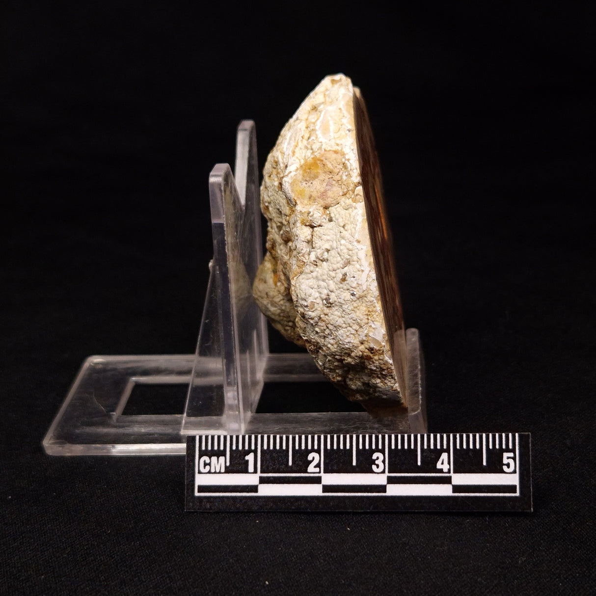 THUNDER EGG, Australia ZTE001