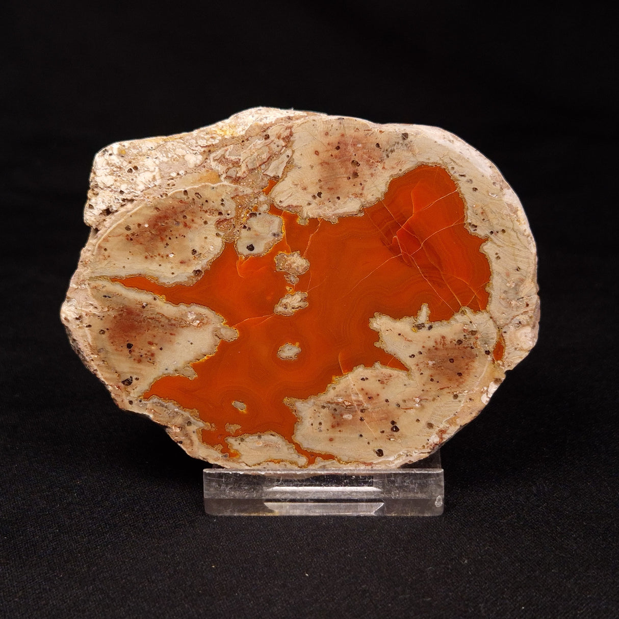 THUNDER EGG, Australia ZTE002