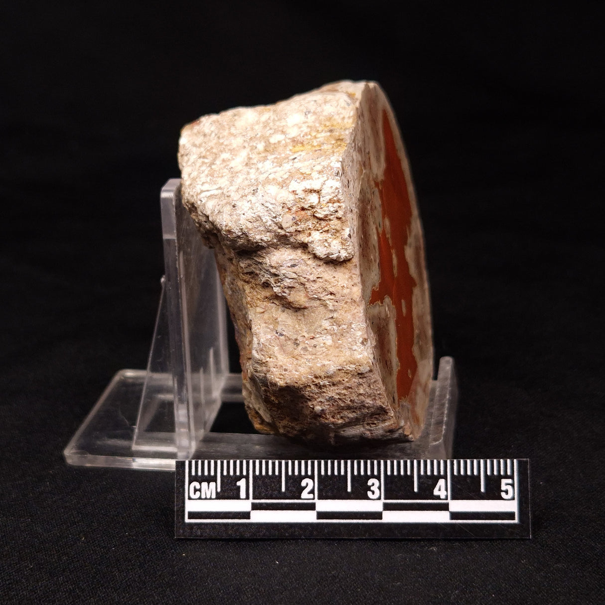 THUNDER EGG, Australia ZTE002