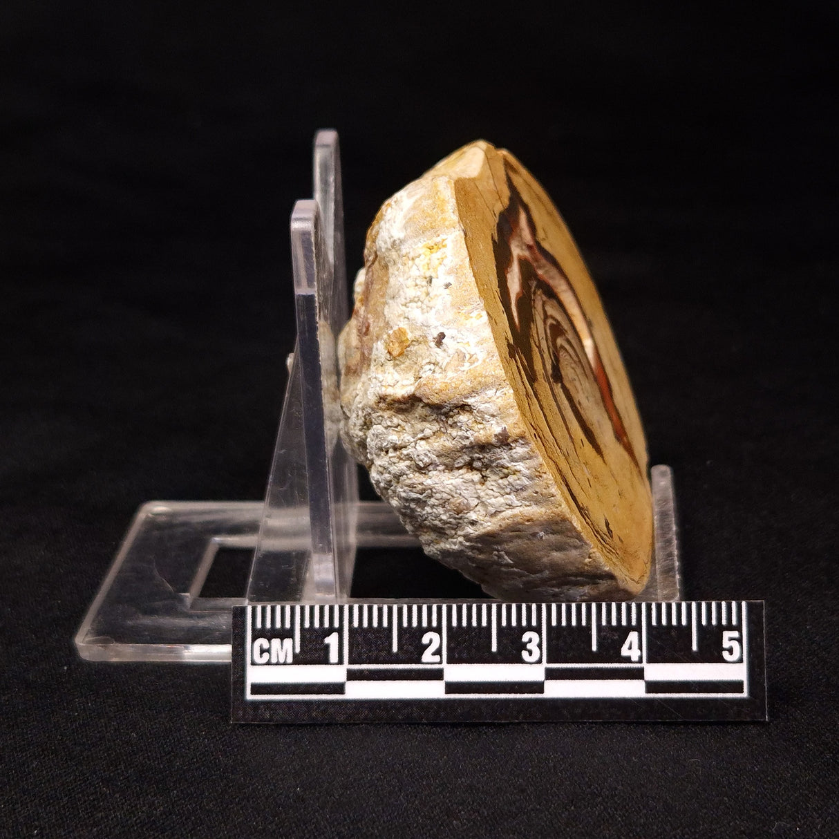 THUNDER EGG, Australia ZTE004