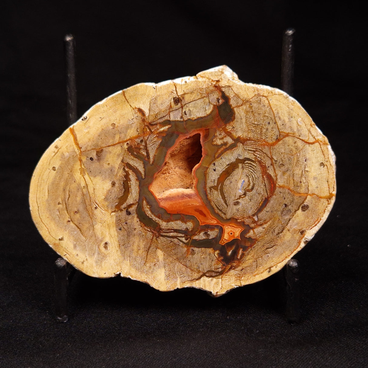 THUNDER EGG, Australia ZTE006