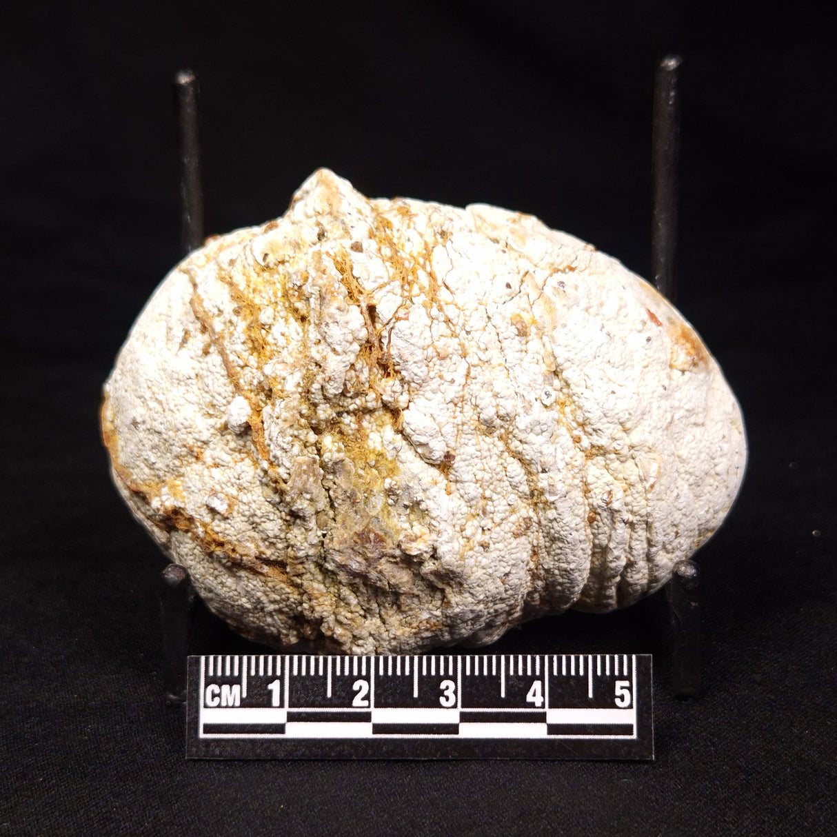 THUNDER EGG, Australia ZTE006