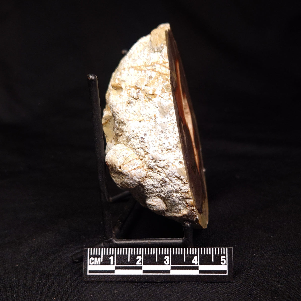 THUNDER EGG, Australia ZTE008