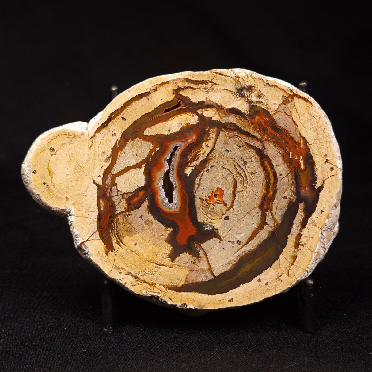 THUNDER EGG, Australia ZTE012