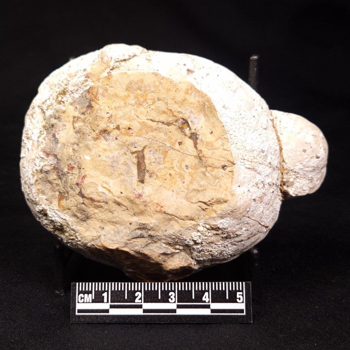 THUNDER EGG, Australia ZTE012