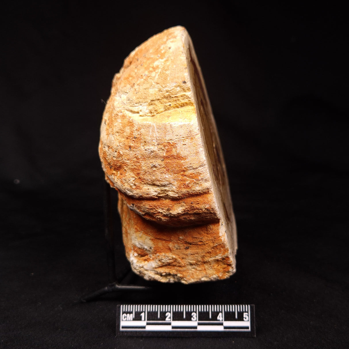 THUNDER EGG, Australia ZTE013