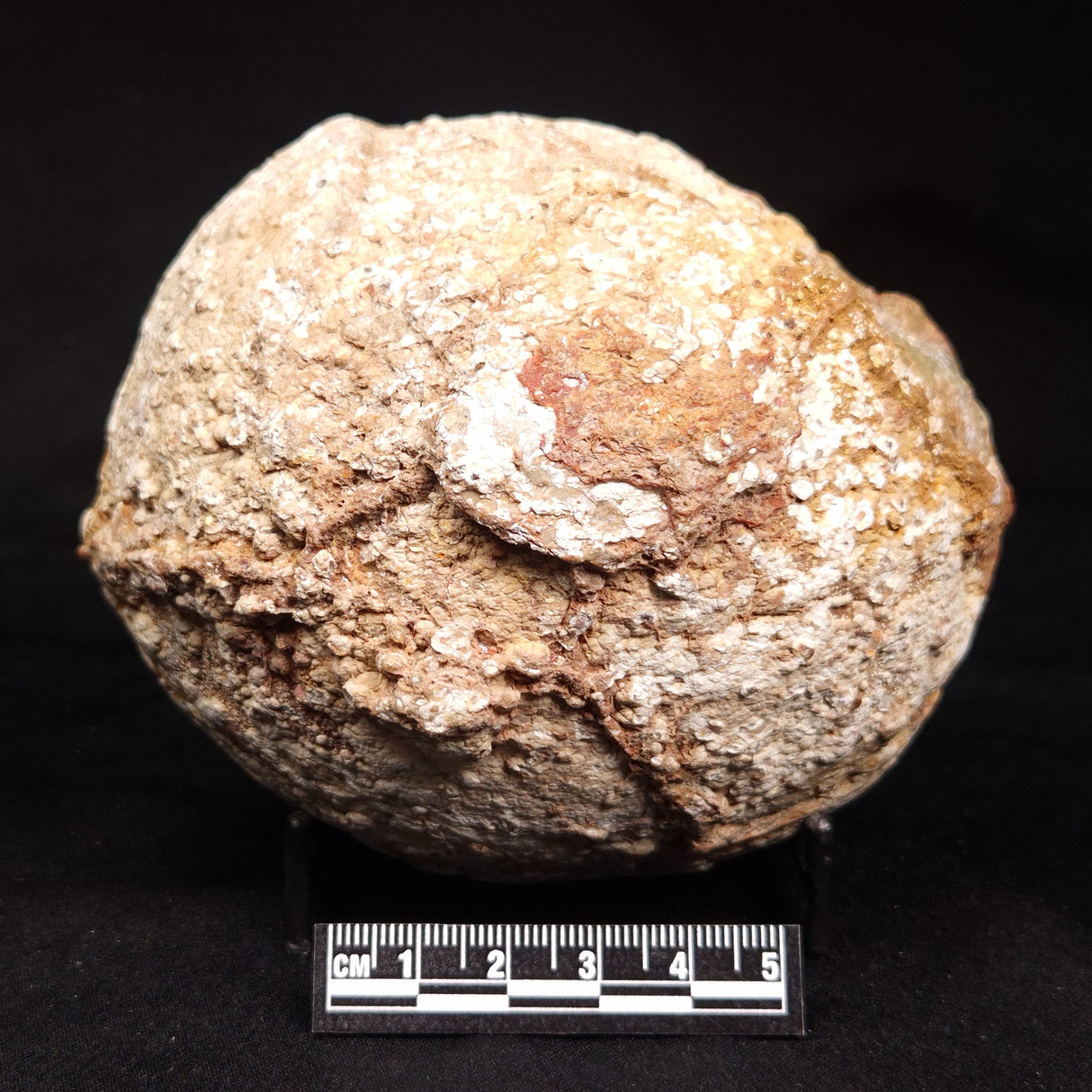 THUNDER EGG, Australia ZTE014