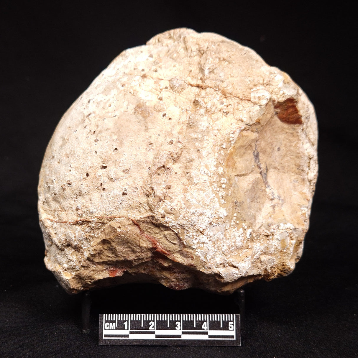 THUNDER EGG, Australia ZTE015