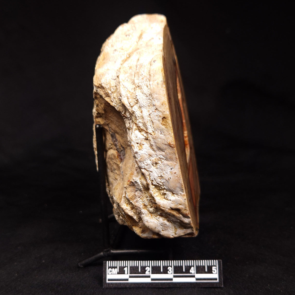 THUNDER EGG, Australia ZTE015