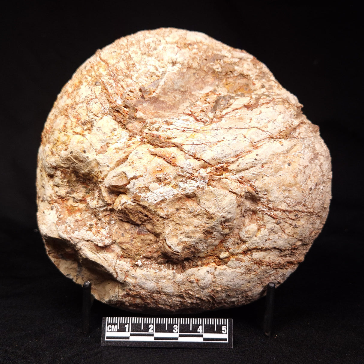 THUNDER EGG, Australia ZTE016