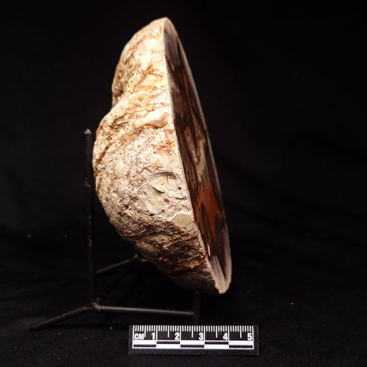 THUNDER EGG, Australia ZTE016