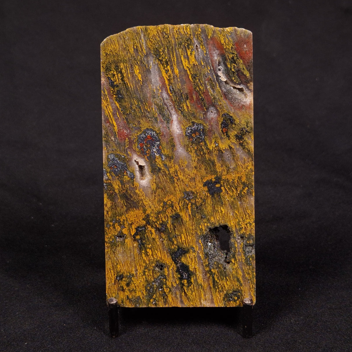 BURTITE CANE FIRE JASPER, Australia ZCF001