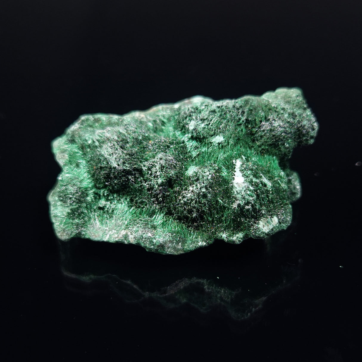 VELVET MALACHITE, Democratic Republic of Congo XVM002