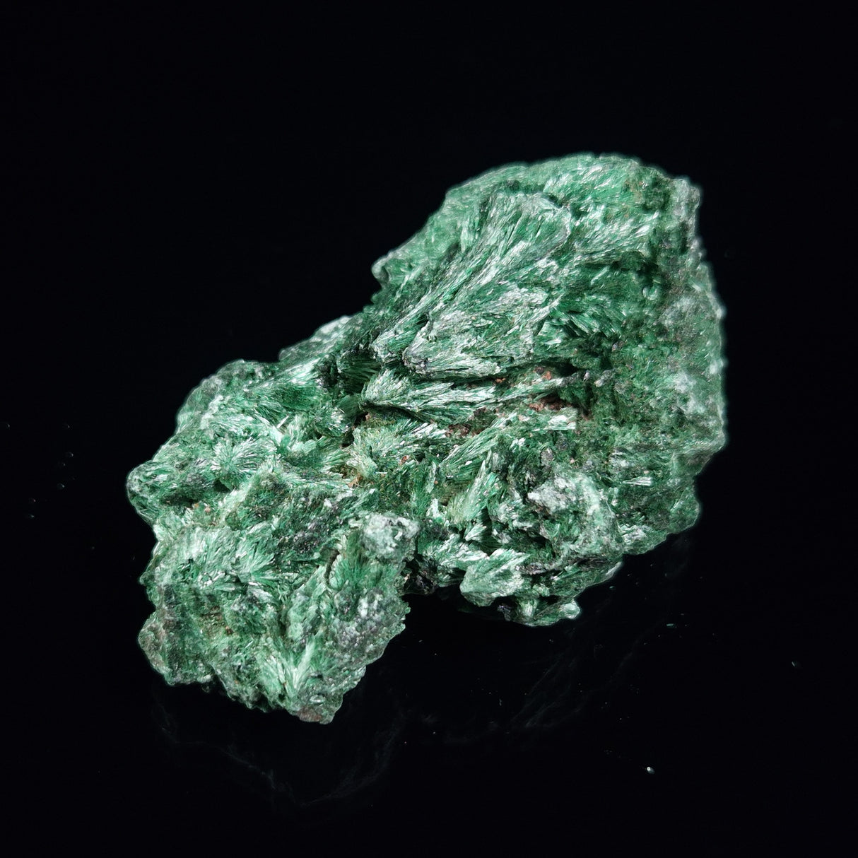 VELVET MALACHITE, Democratic Republic of Congo XVM006