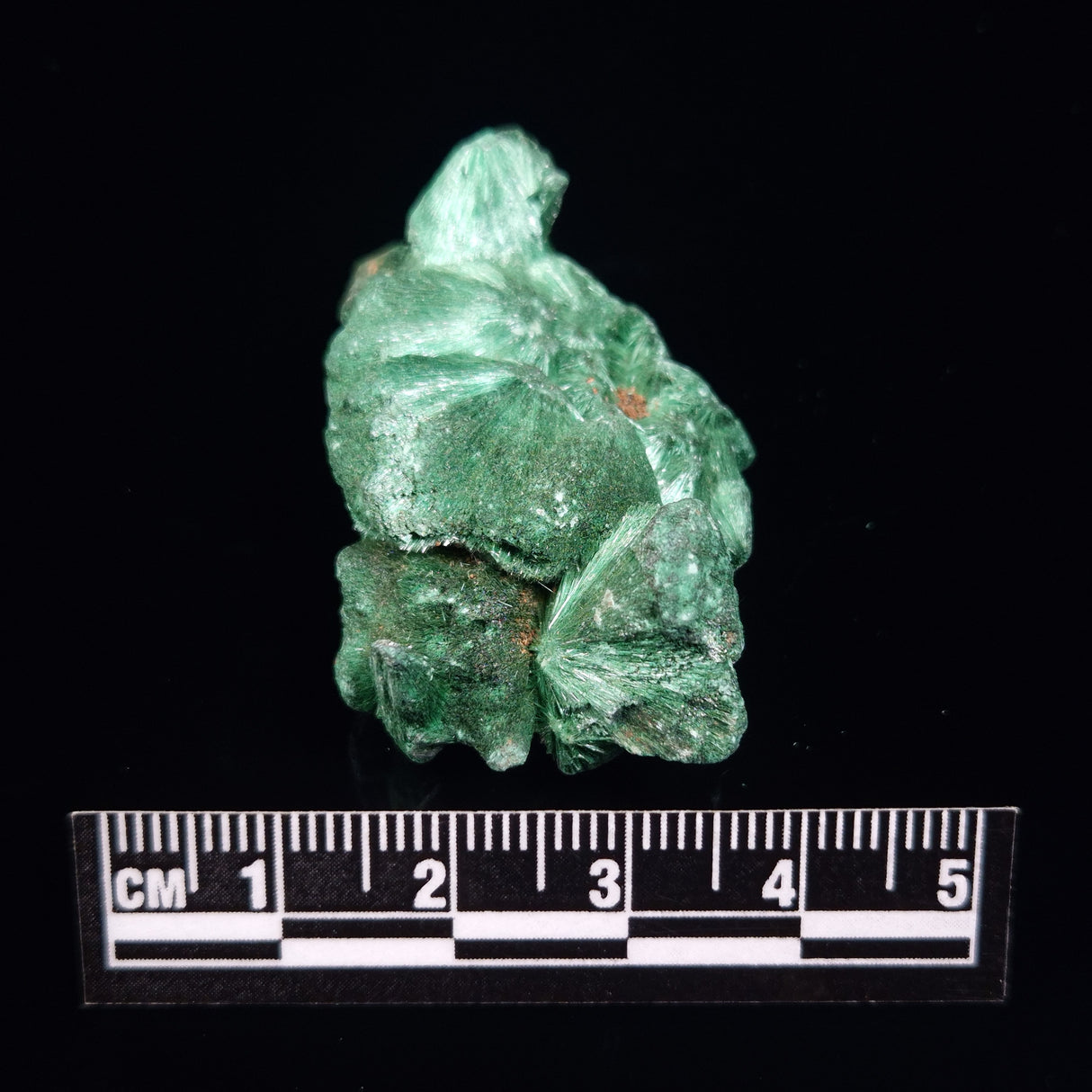VELVET MALACHITE, Democratic Republic of Congo XVM009