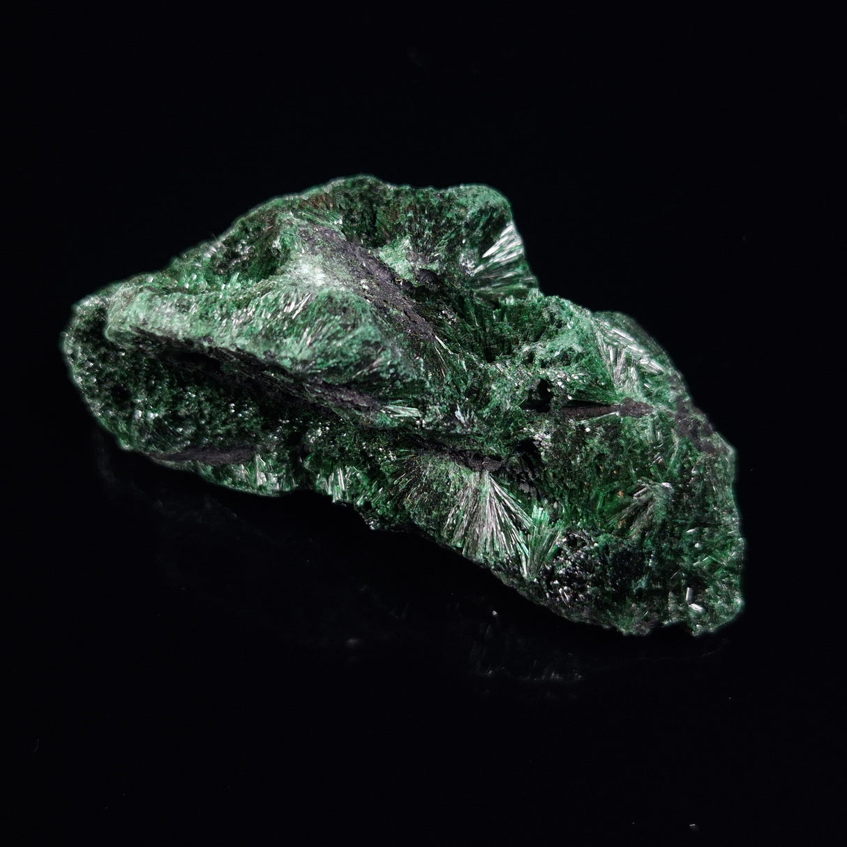 VELVET MALACHITE, Democratic Republic of Congo XVM010