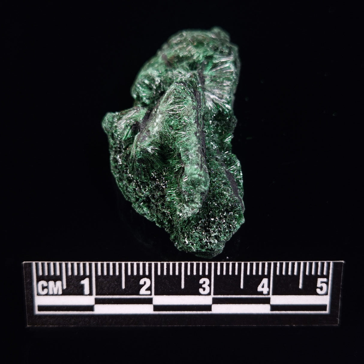 VELVET MALACHITE, Democratic Republic of Congo XVM010
