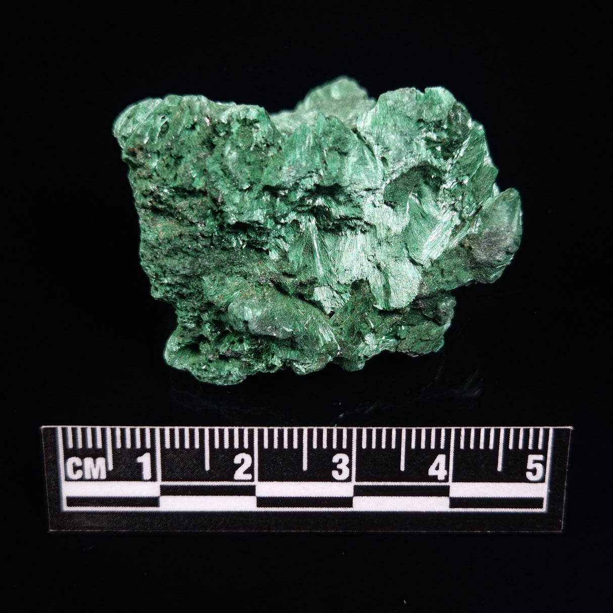 VELVET MALACHITE, Democratic Republic of Congo XVM011