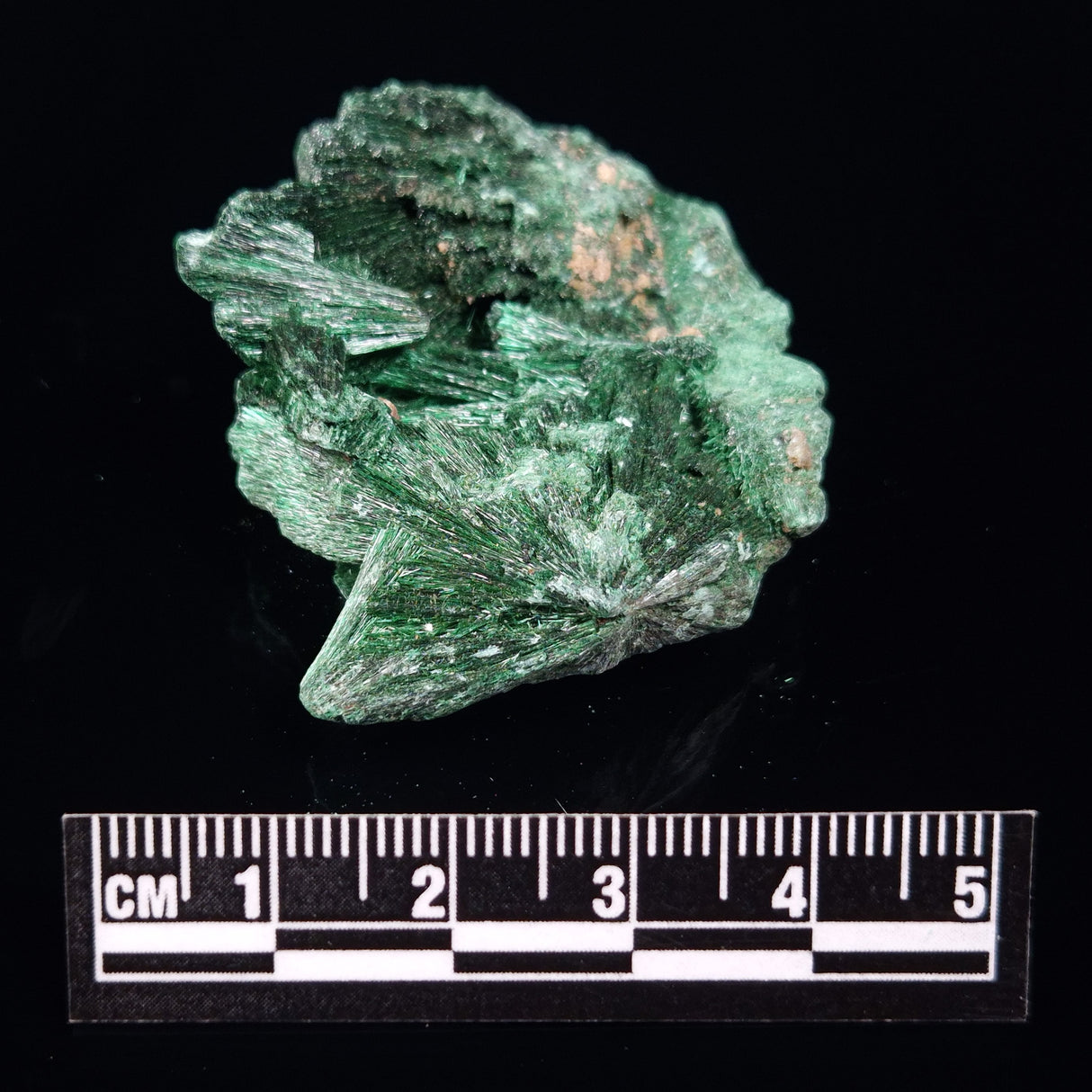 VELVET MALACHITE, Democratic Republic of Congo XVM012