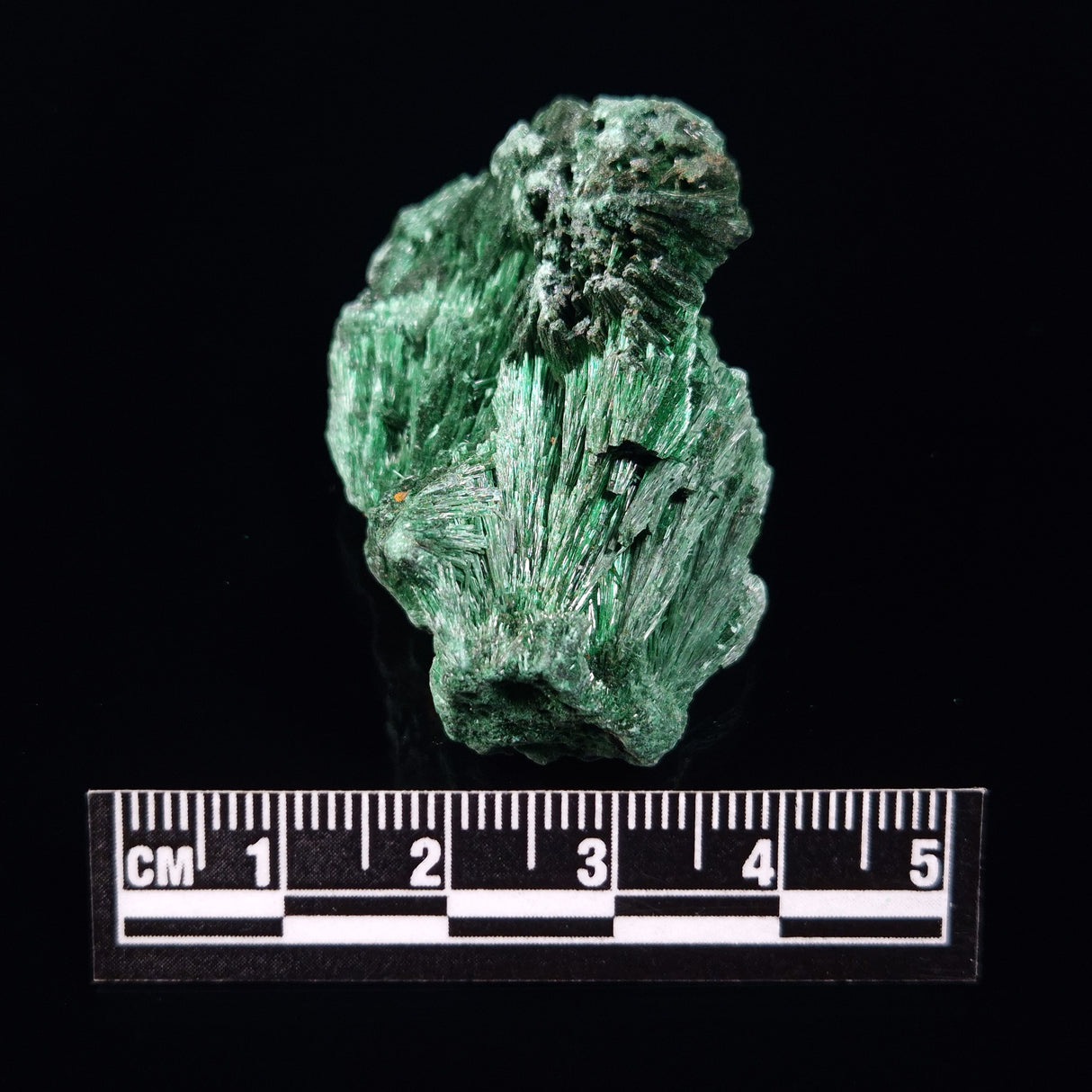 VELVET MALACHITE, Democratic Republic of Congo XVM013