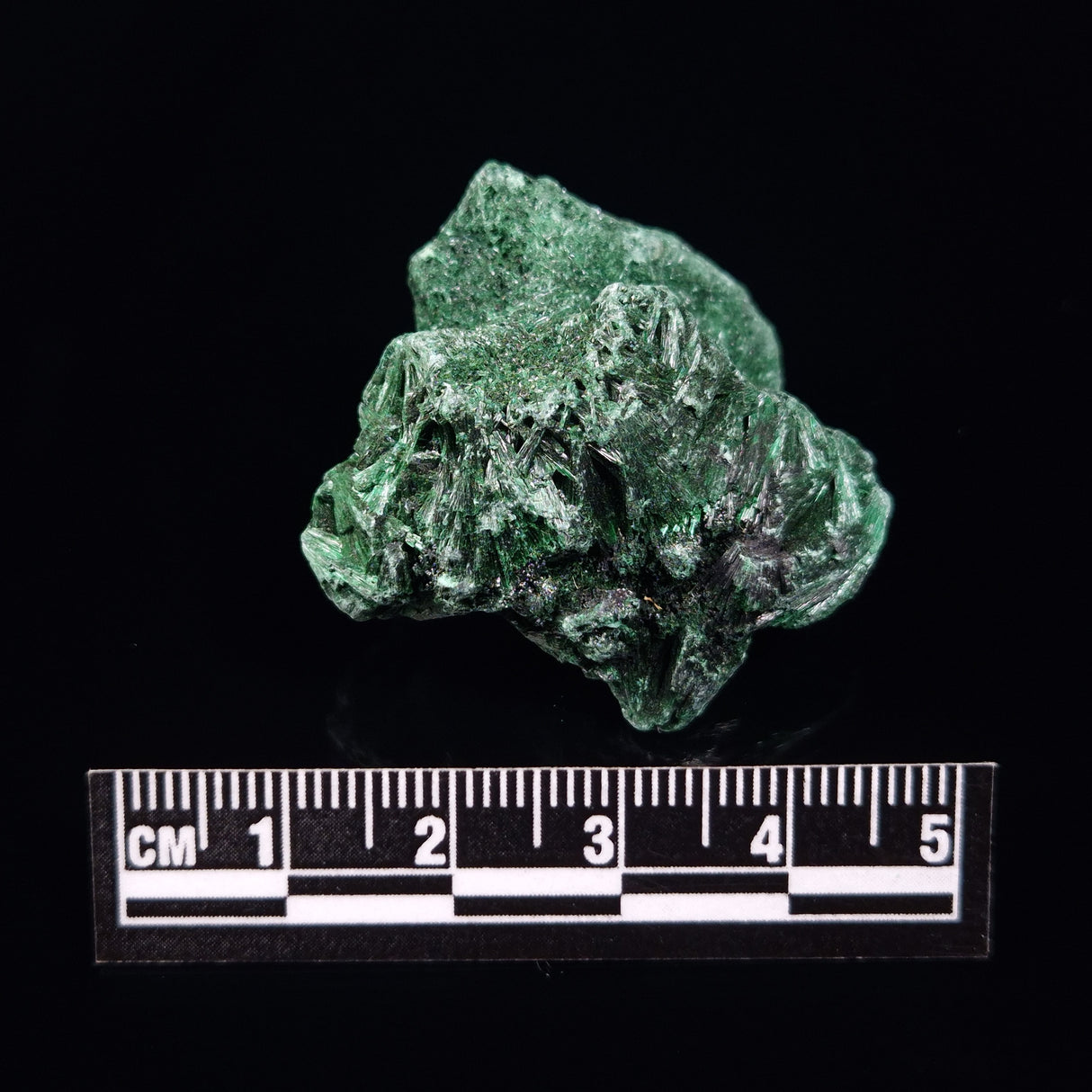 VELVET MALACHITE, Democratic Republic of Congo XVM014