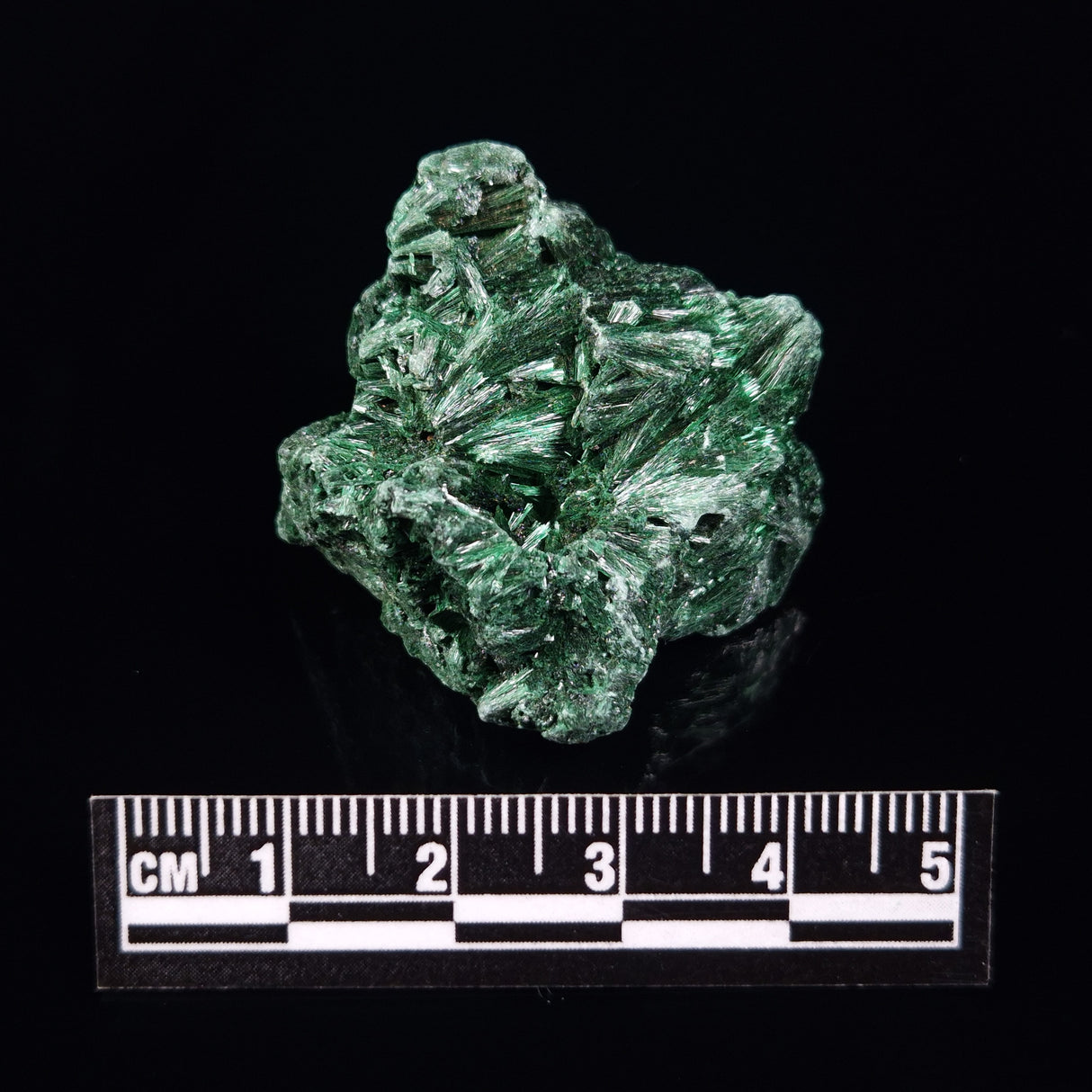 VELVET MALACHITE, Democratic Republic of Congo XVM014