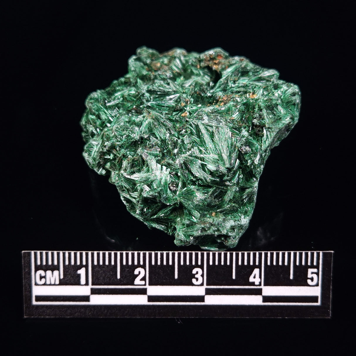 VELVET MALACHITE, Democratic Republic of Congo XVM015