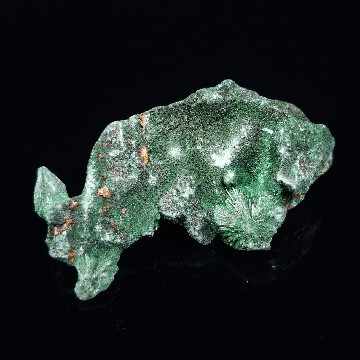 VELVET MALACHITE, Democratic Republic of Congo XVM018