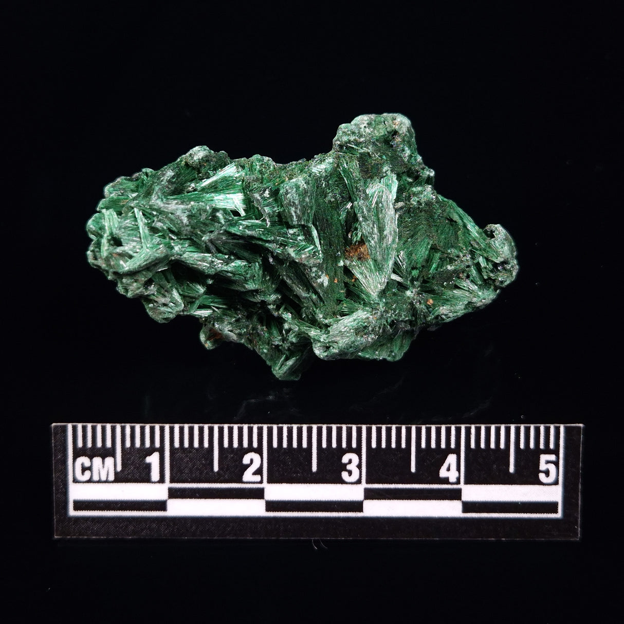 VELVET MALACHITE, Democratic Republic of Congo XVM020