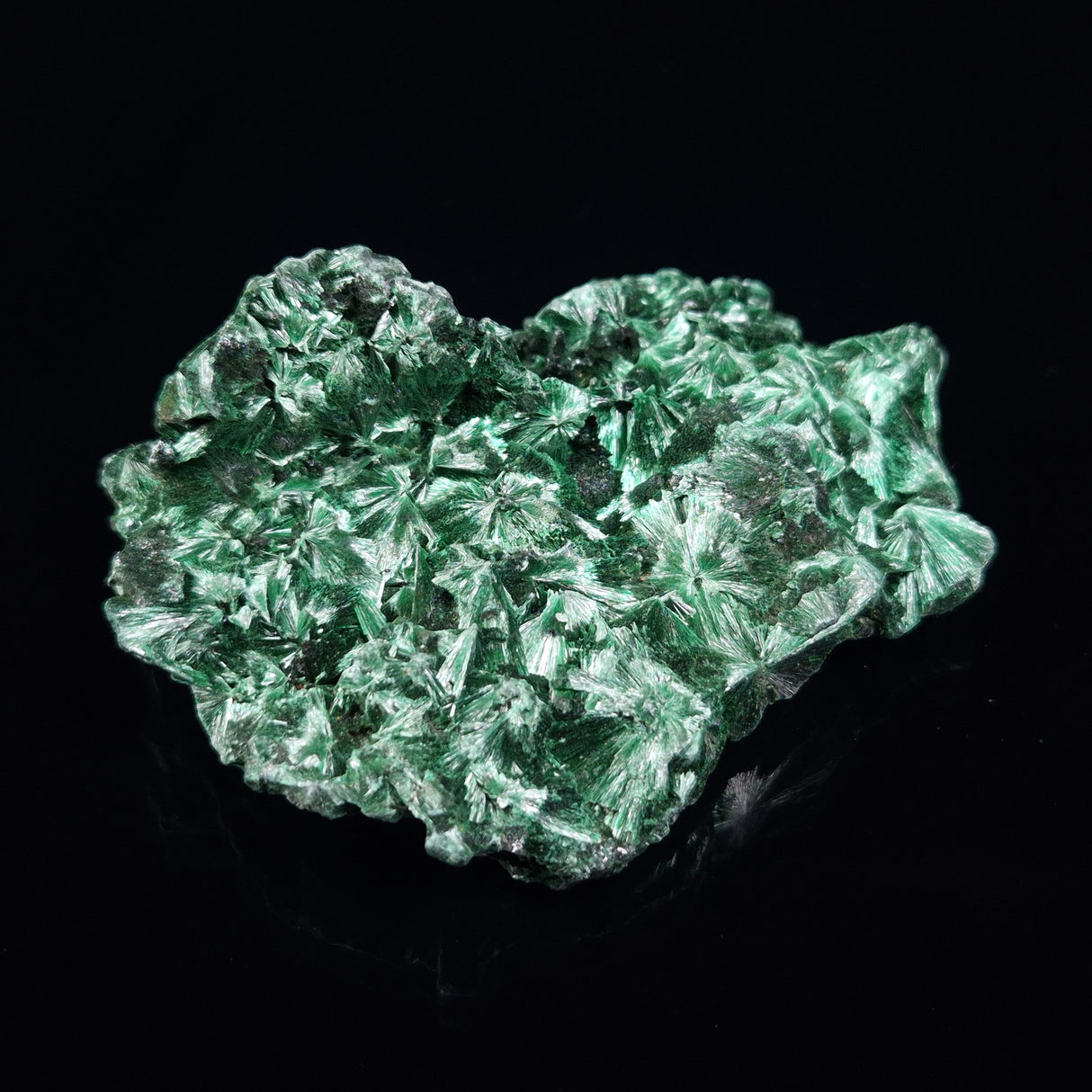 VELVET MALACHITE, Democratic Republic of Congo XVM021
