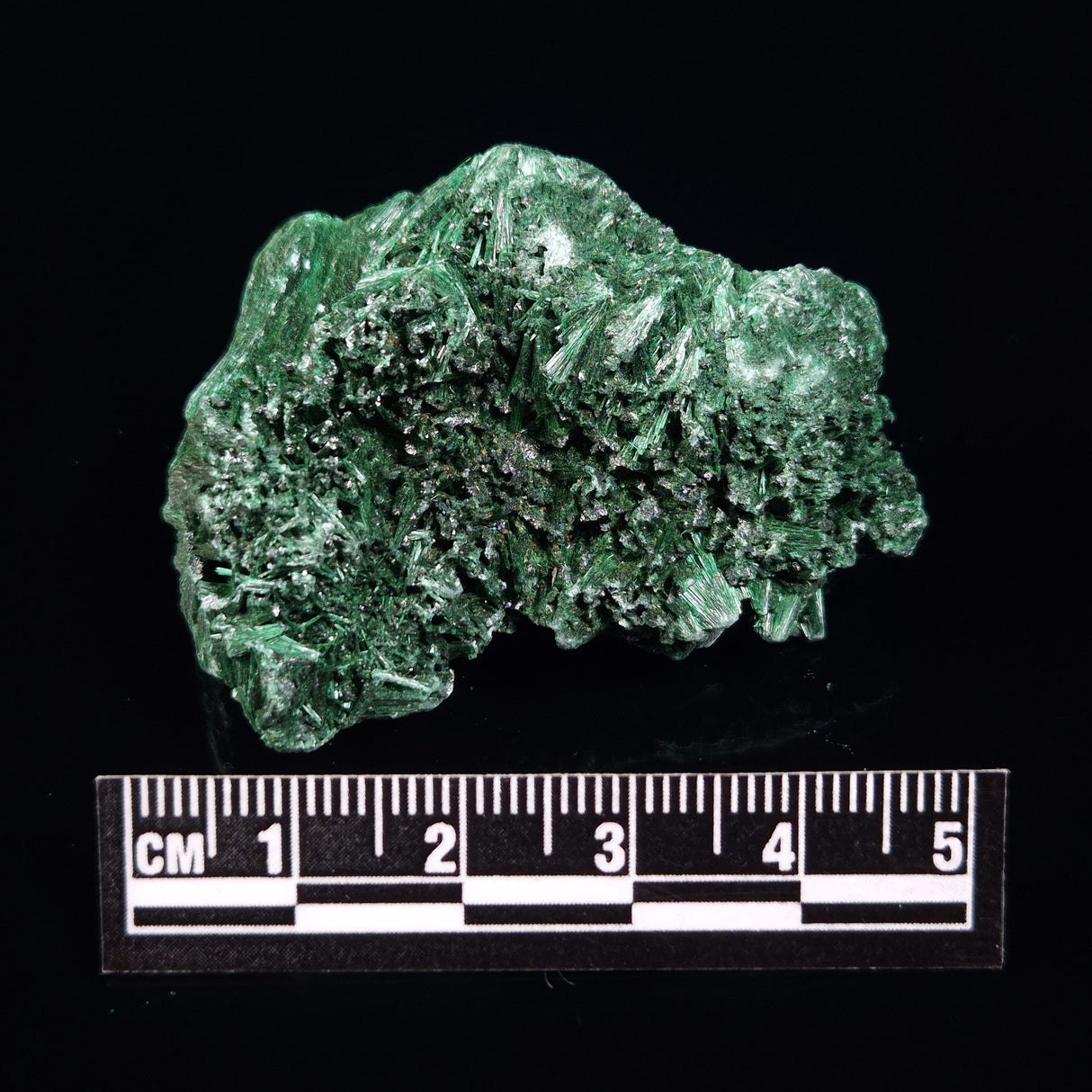 VELVET MALACHITE, Democratic Republic of Congo XVM022