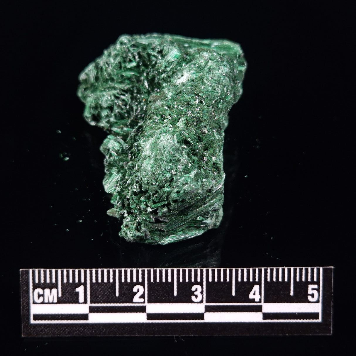 VELVET MALACHITE, Democratic Republic of Congo XVM022