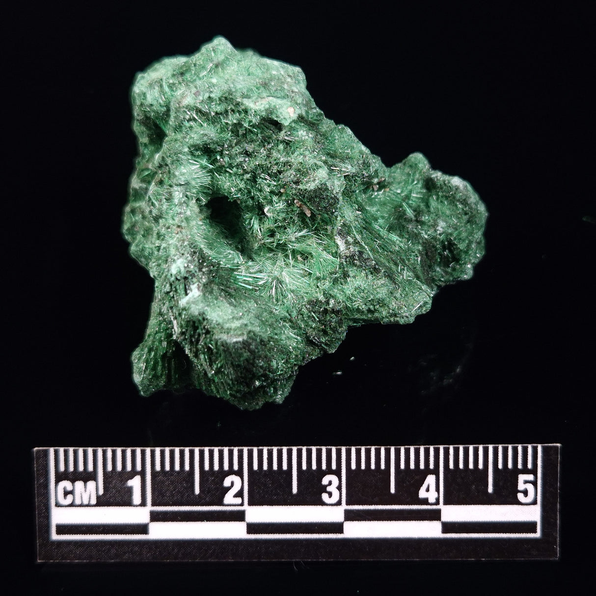 VELVET MALACHITE, Democratic Republic of Congo XVM023