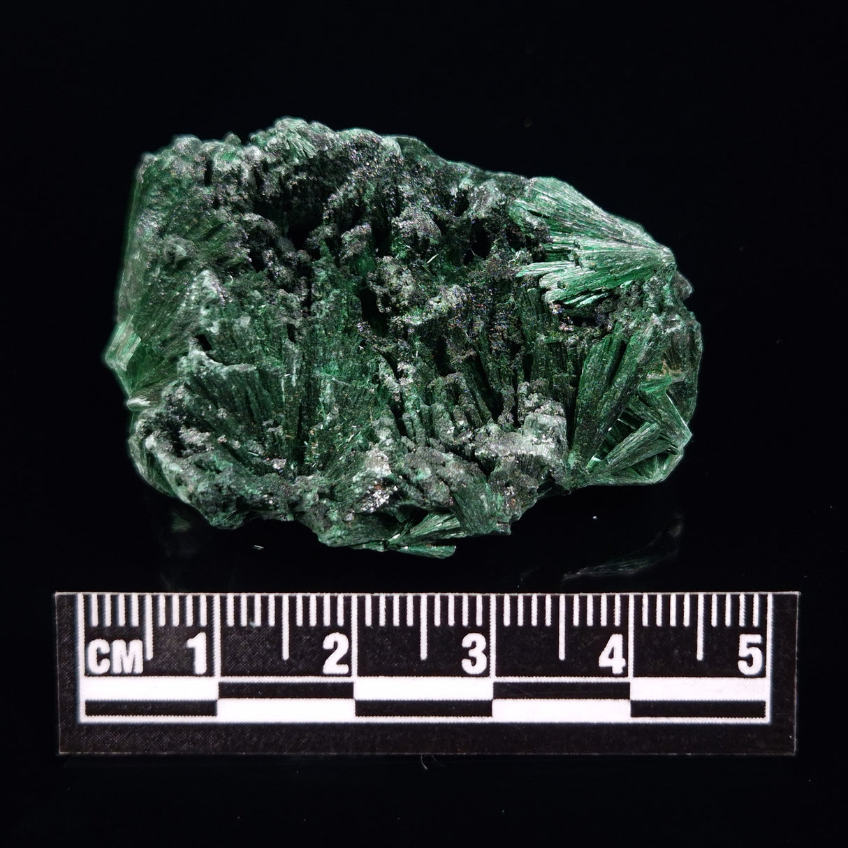 VELVET MALACHITE, Democratic Republic of Congo XVM024