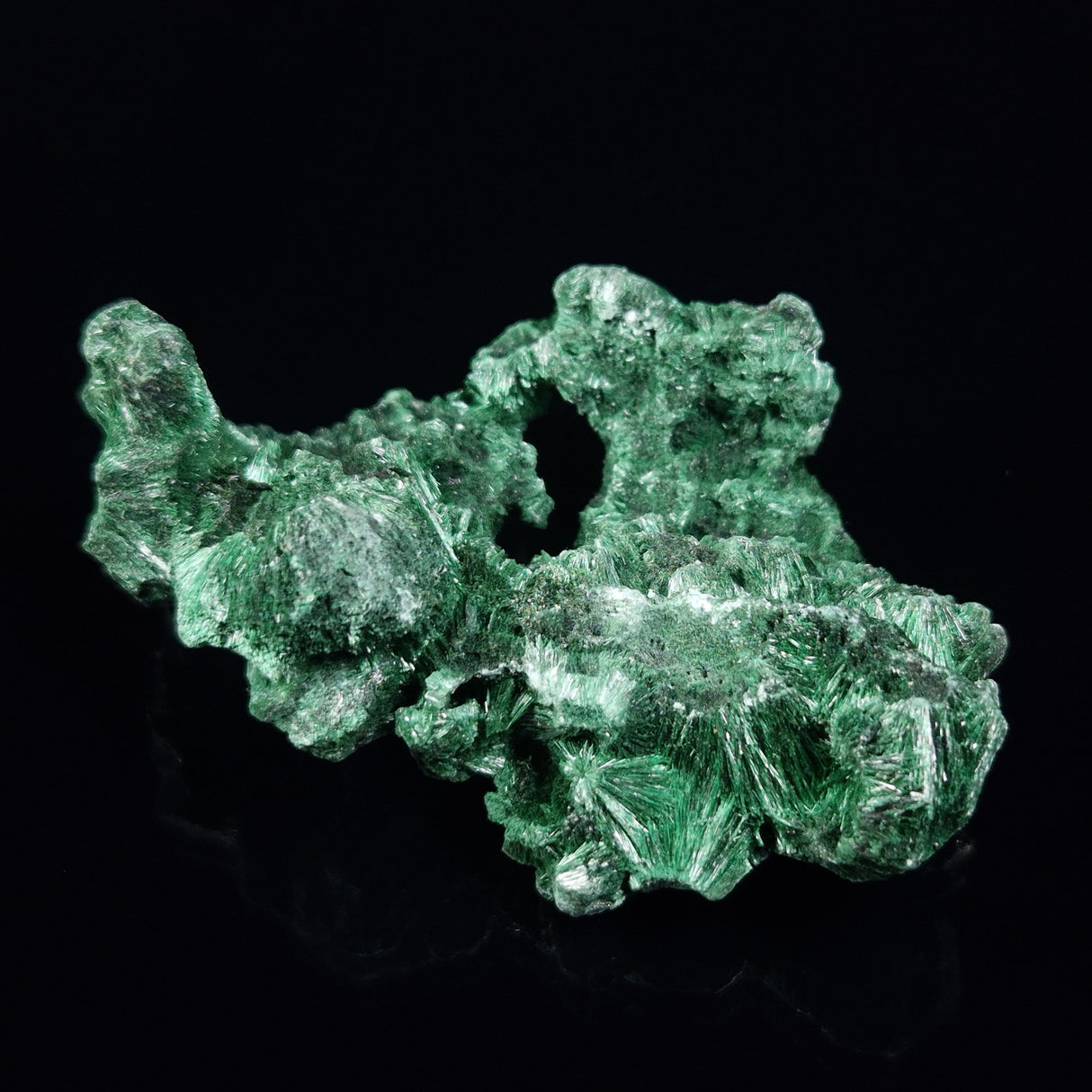 VELVET MALACHITE, Democratic Republic of Congo XVM025