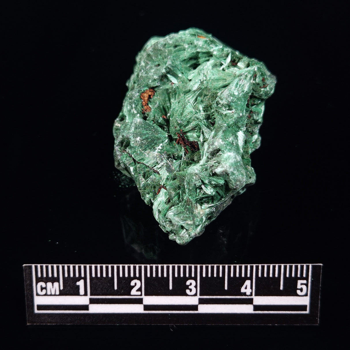 VELVET MALACHITE, Democratic Republic of Congo XVM026