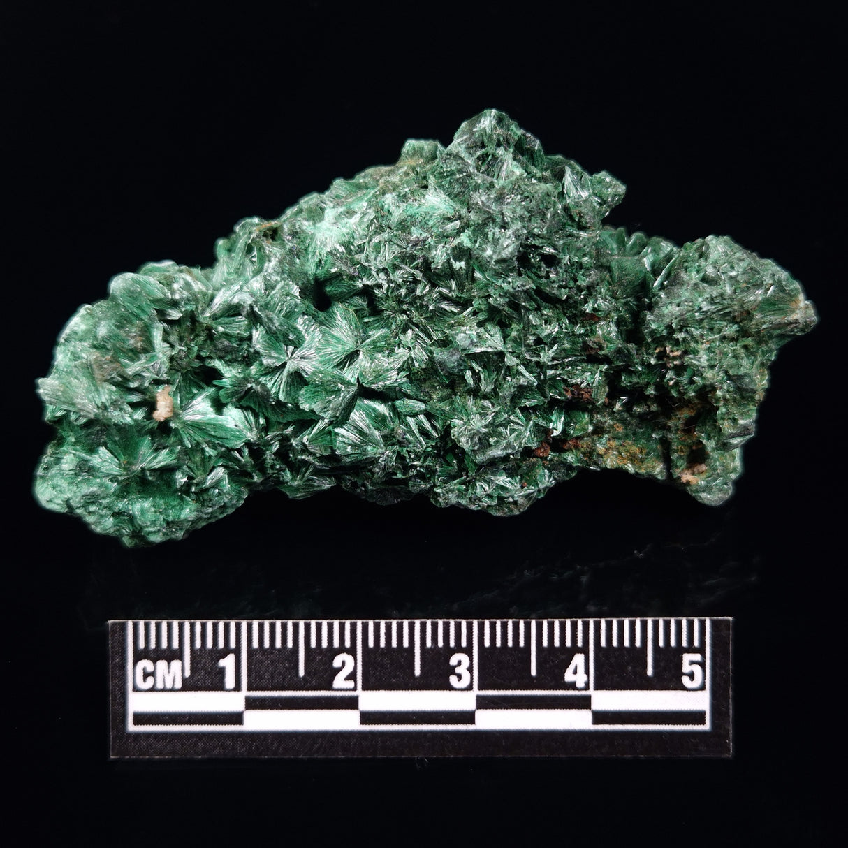 VELVET MALACHITE, Democratic Republic of Congo XVM028