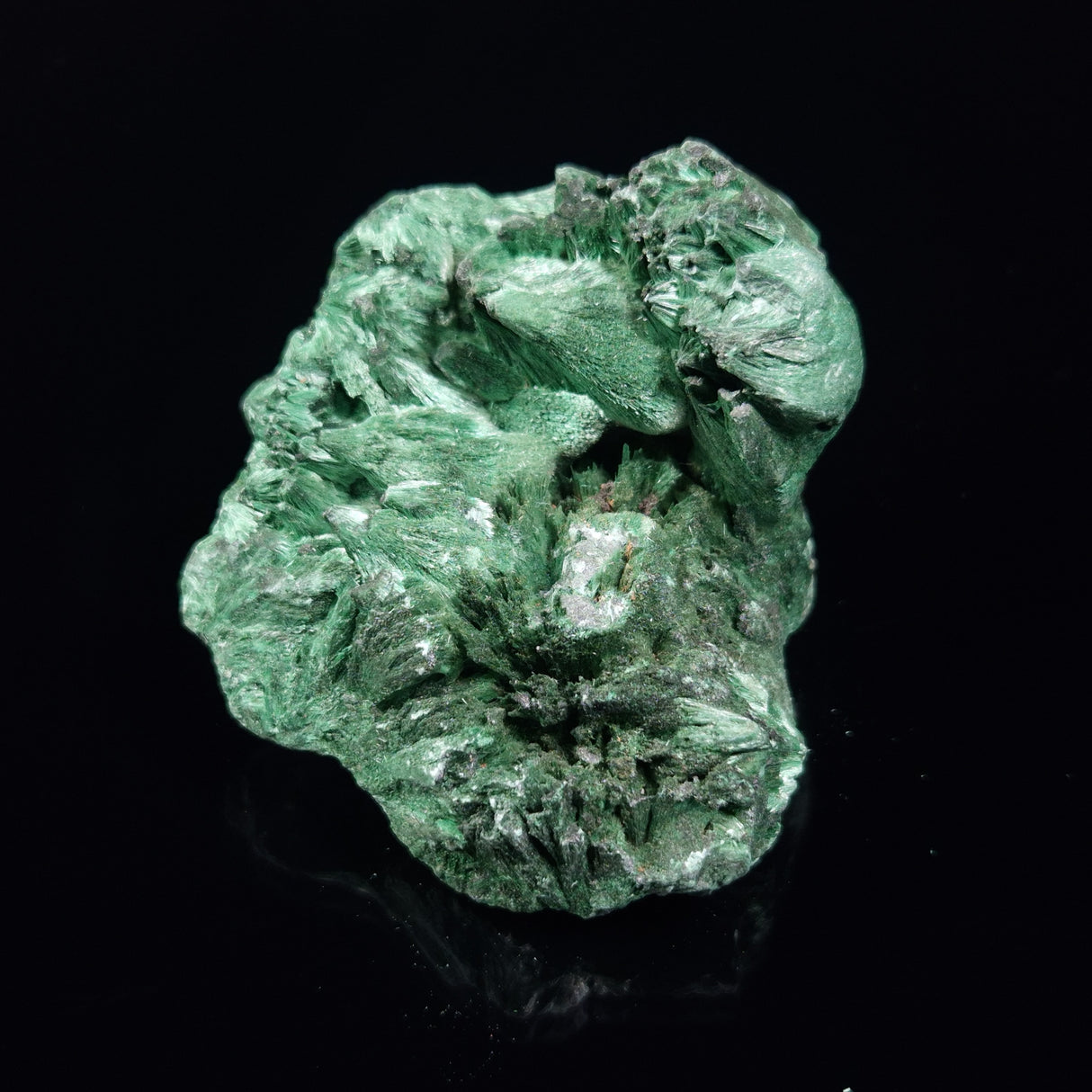 VELVET MALACHITE, Democratic Republic of Congo XVM032
