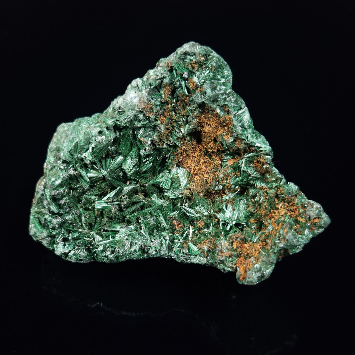 VELVET MALACHITE, Democratic Republic of Congo XVM034