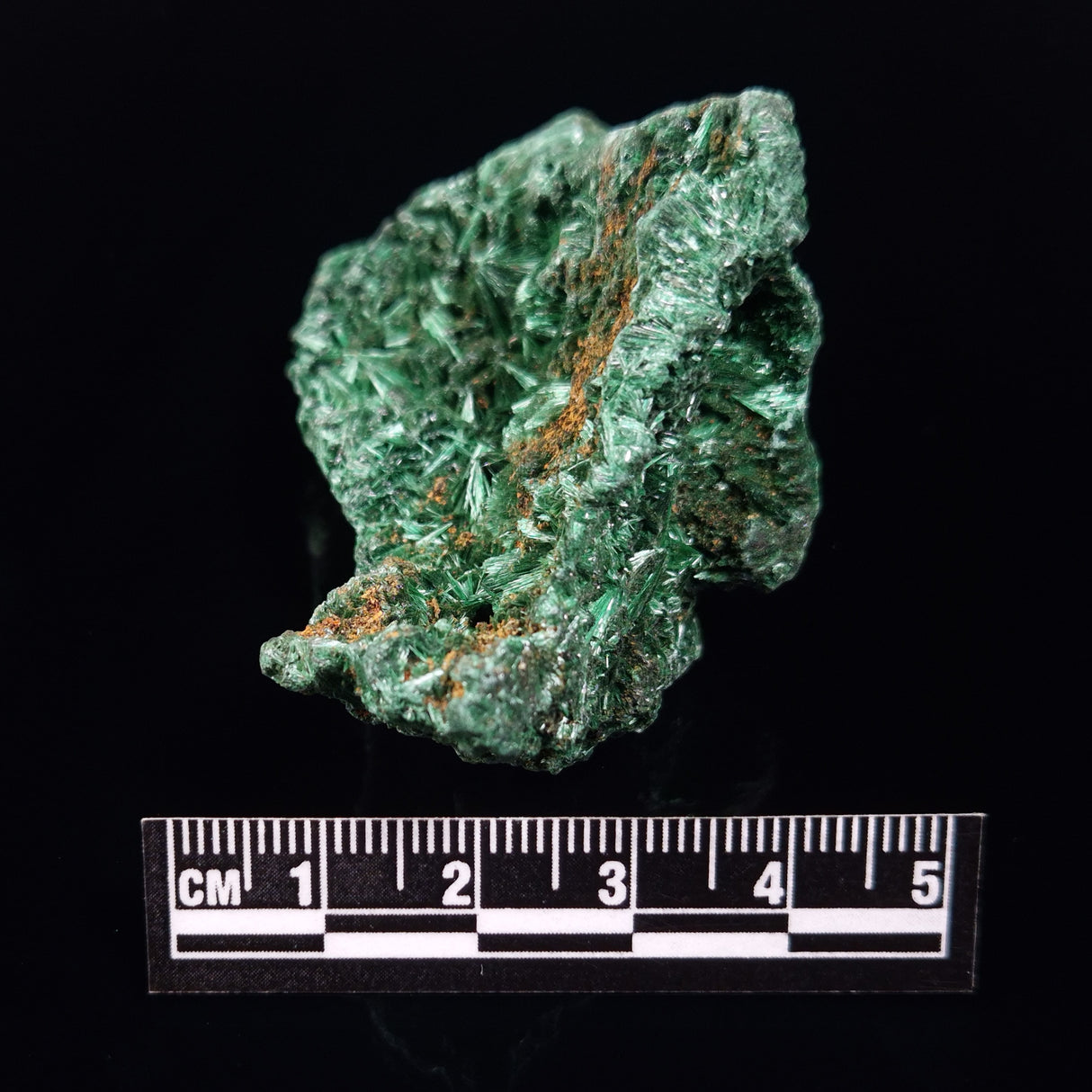 VELVET MALACHITE, Democratic Republic of Congo XVM034